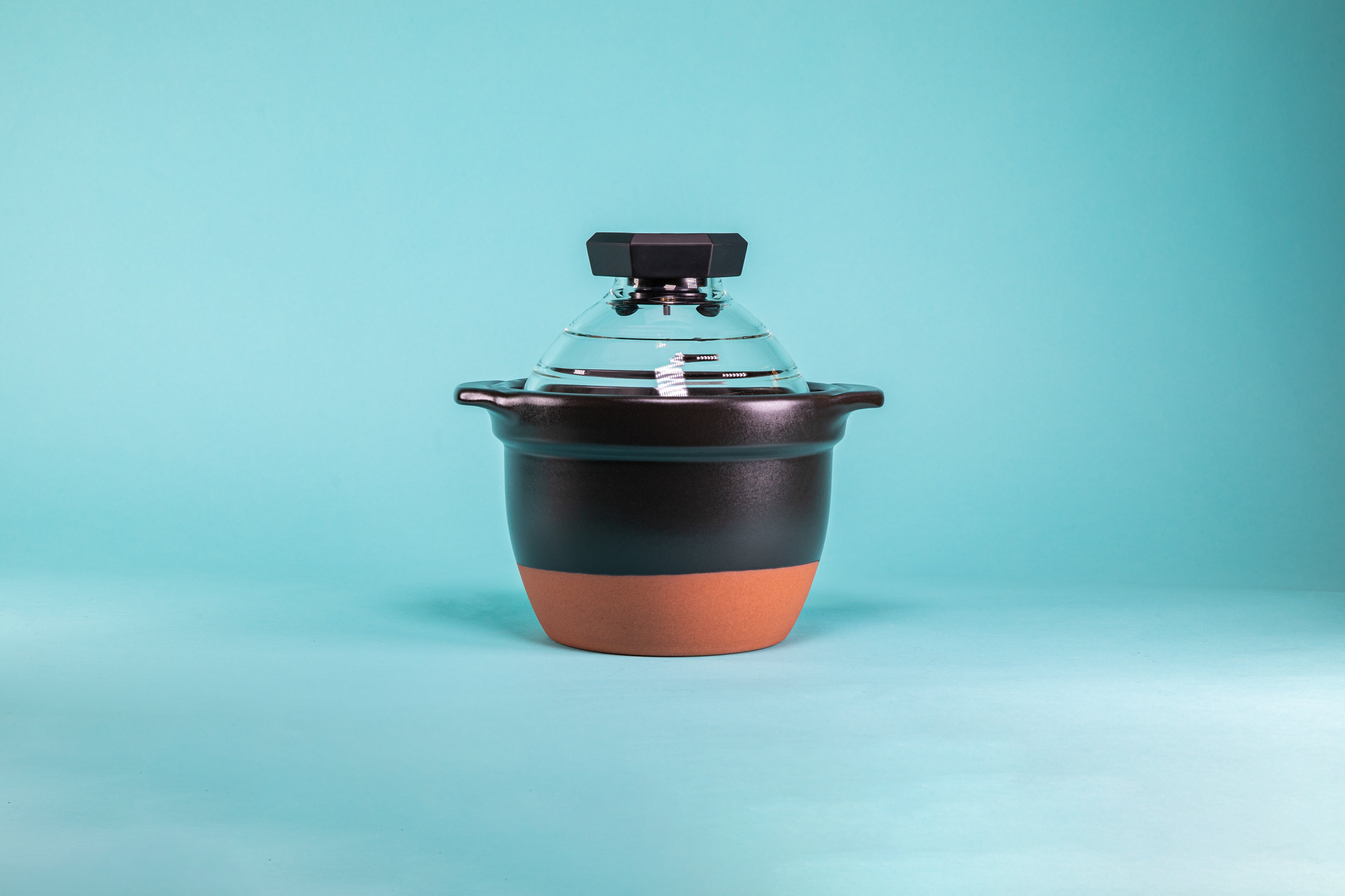 Hario Japanese Clay Pot with Glass Lid, Heatproof Ceramic & Silicone on  Food52